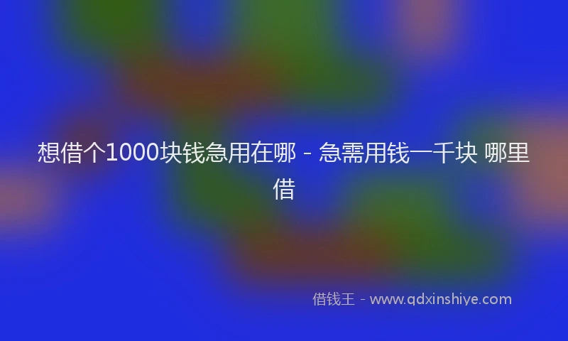 想借个1000块钱急用在哪 - 急需用钱一千块 哪里借