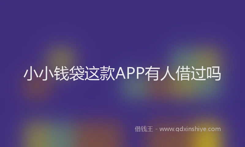 小小钱袋这款APP有人借过吗
