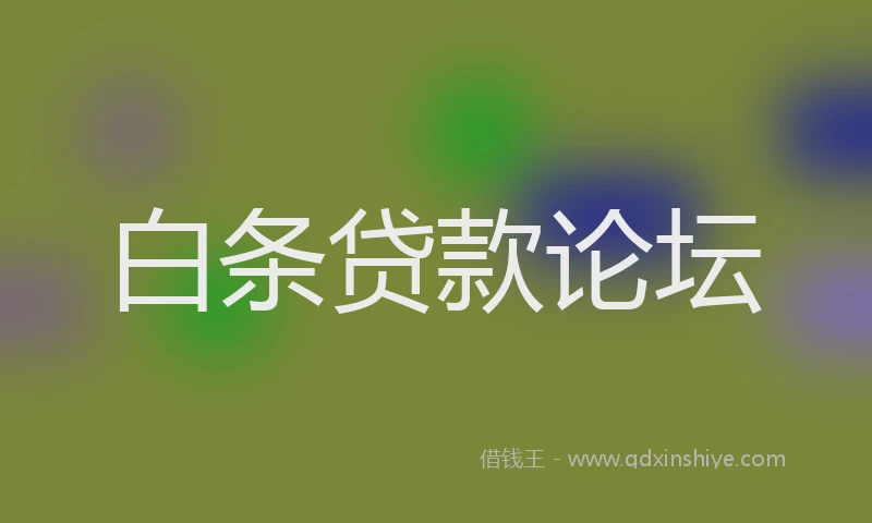 白条贷款论坛