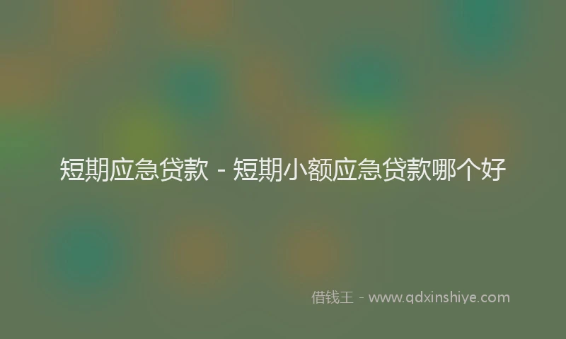 短期应急贷款 - 短期小额应急贷款哪个好