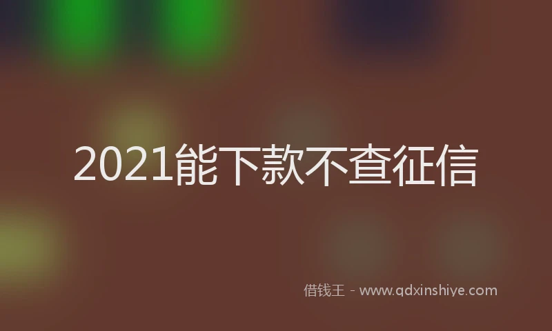 2021能下款不查征信