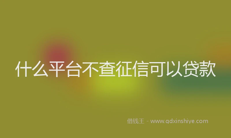 什么平台不查征信可以贷款