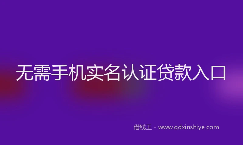 无需手机实名认证贷款入口