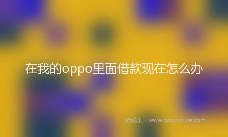 在我的oppo里面借款现在怎么办