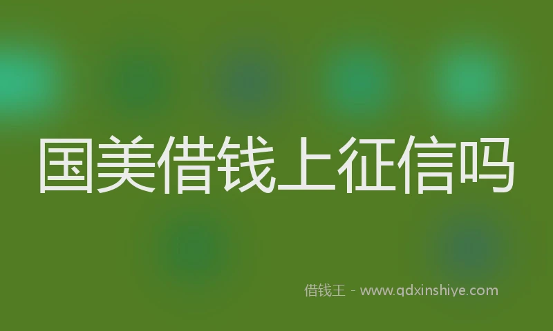 国美借钱上征信吗
