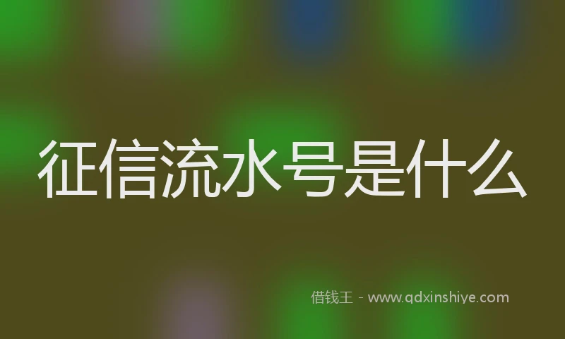征信流水号是什么