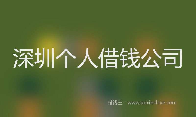 深圳个人借钱公司