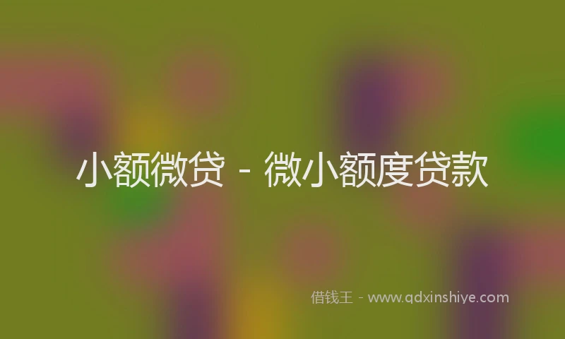 小额微贷 - 微小额度贷款
