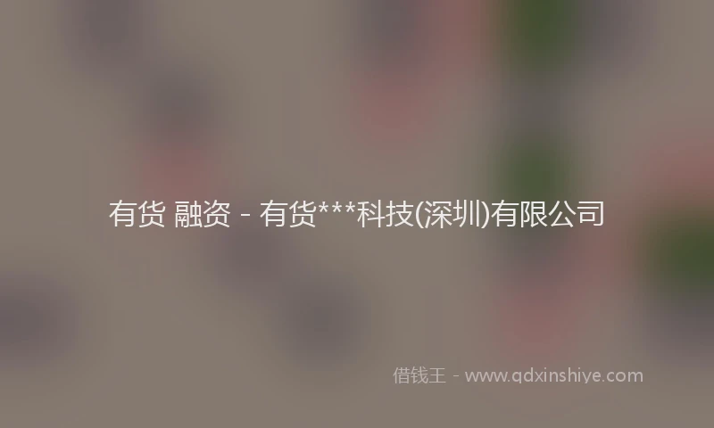 有货 融资 - 有货***科技(深圳)有限公司