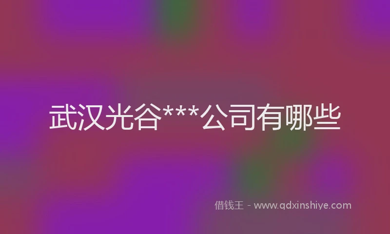 武汉光谷***公司有哪些