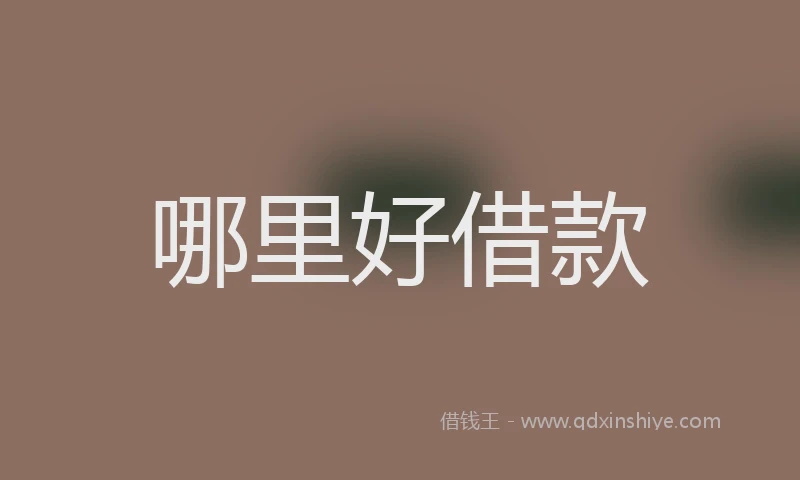 哪里好借款