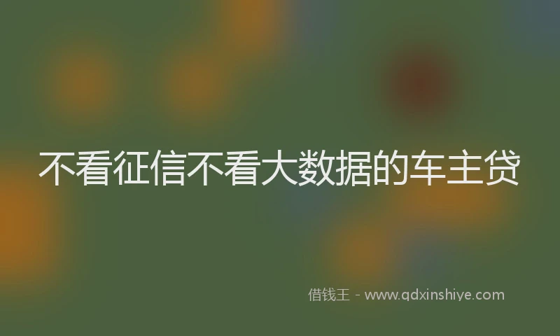 不看征信不看大数据的车主贷
