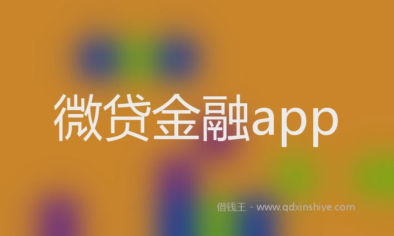 微贷金融app