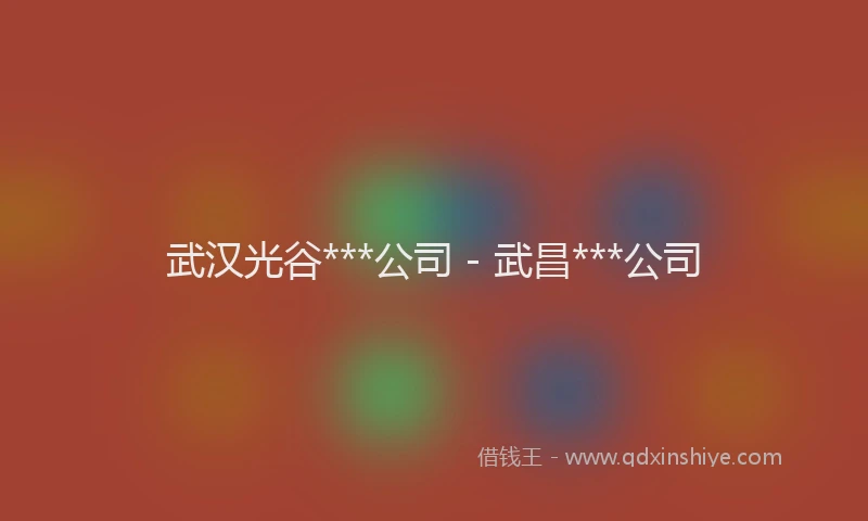 武汉光谷***公司 - 武昌***公司