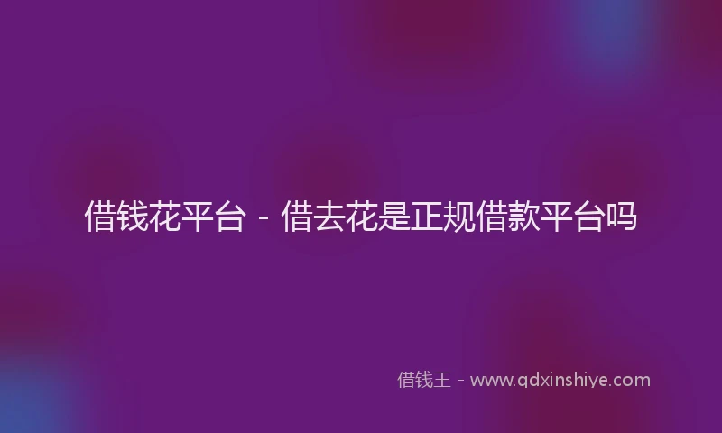 借钱花平台 - 借去花是正规借款平台吗