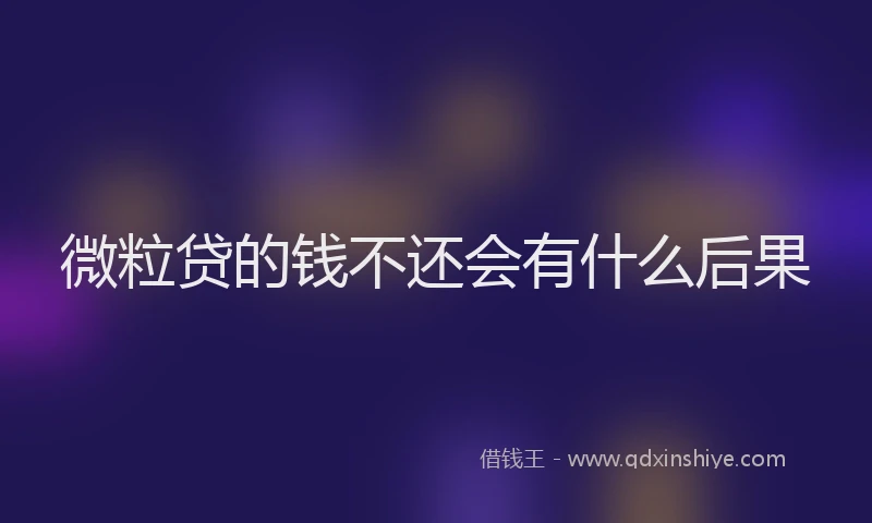 微粒贷的钱不还会有什么后果