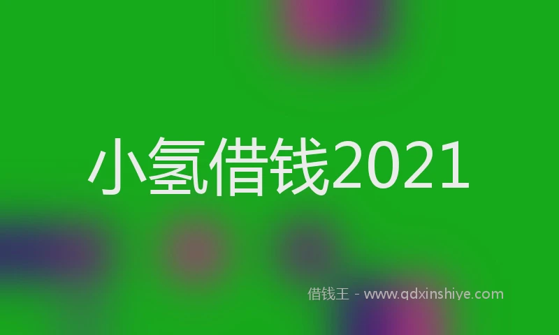 小氢借钱2021