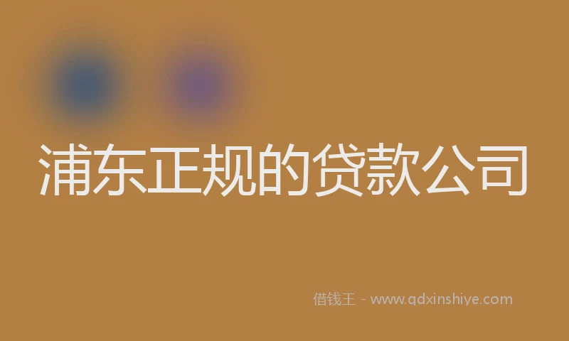 浦东正规的贷款公司