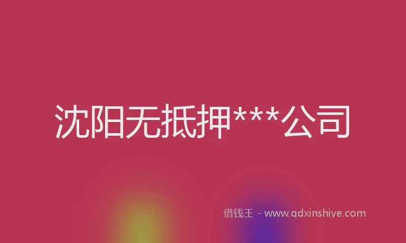 沈阳无抵押***公司