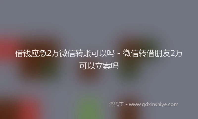 借钱应急2万微信转账可以吗 - 微信转借朋友2万可以立案吗
