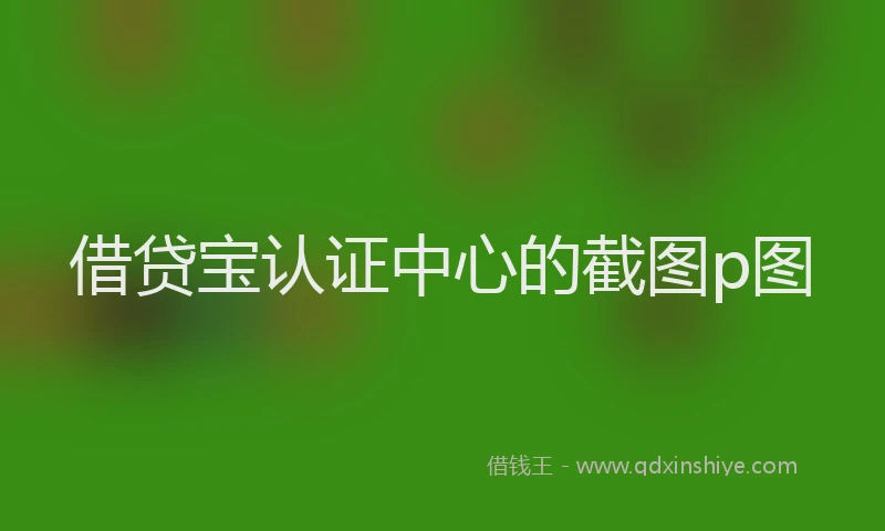 借贷宝认证中心的截图p图
