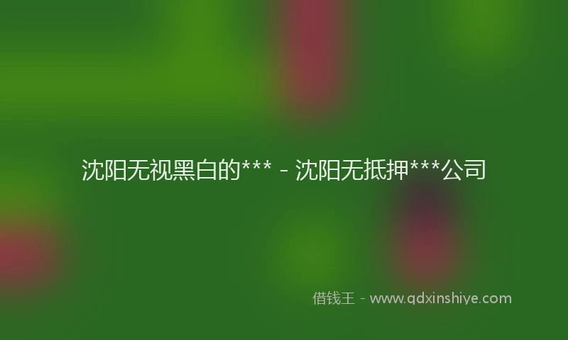 沈阳无视黑白的*** - 沈阳无抵押***公司