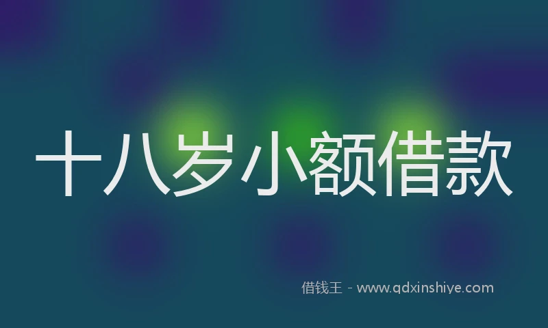 十八岁小额借款