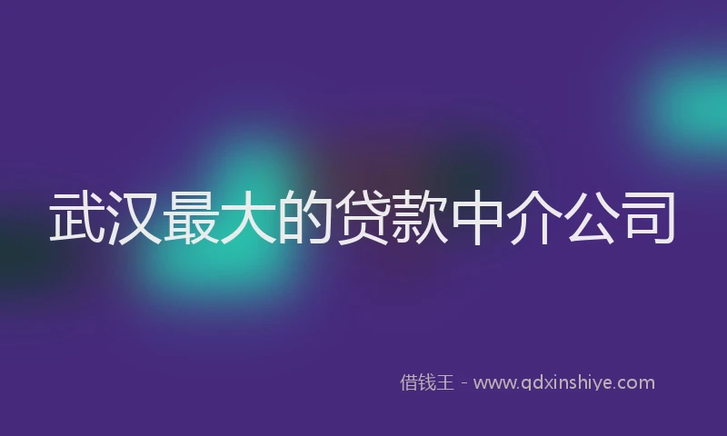 武汉最大的贷款中介公司