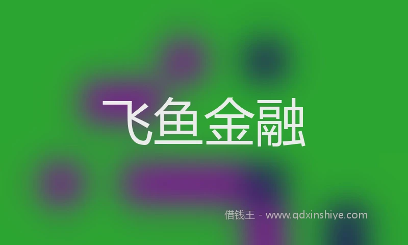 飞鱼金融