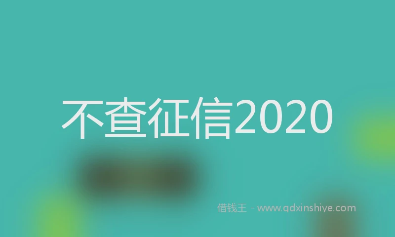 不查征信2020