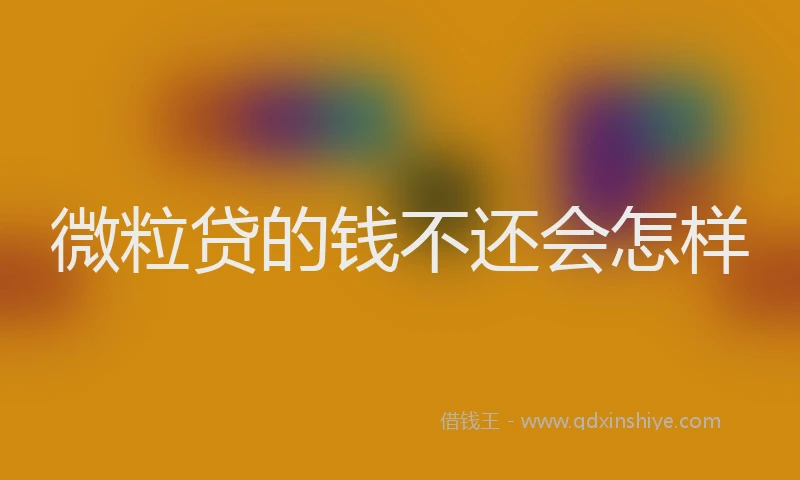 微粒贷的钱不还会怎样