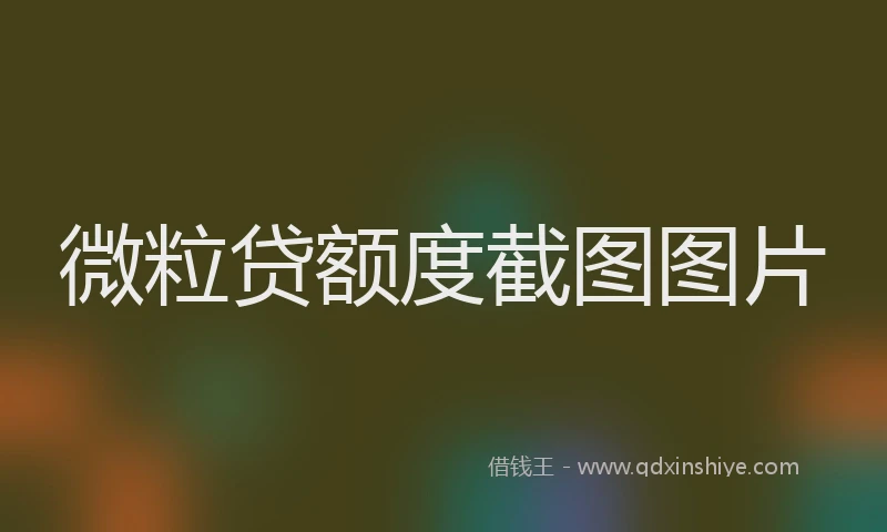 微粒贷额度截图图片