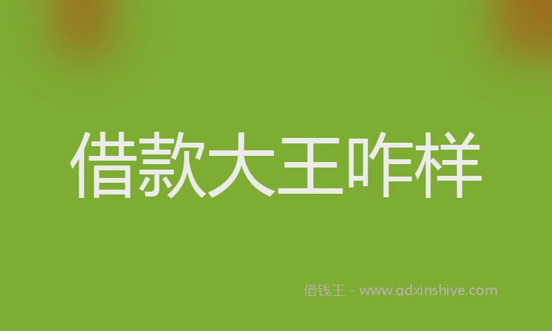借款大王咋样