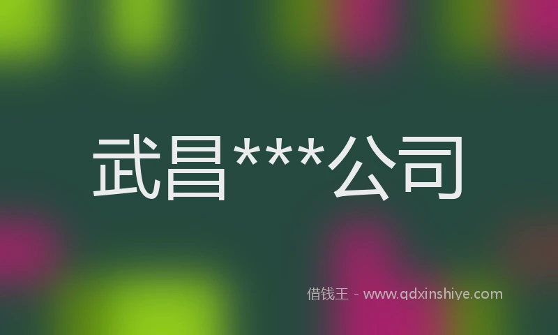 武昌***公司