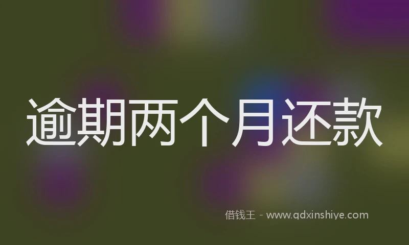 逾期两个月还款