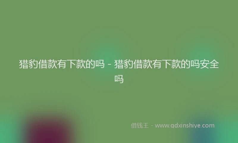 猎豹借款有下款的吗 - 猎豹借款有下款的吗安全吗