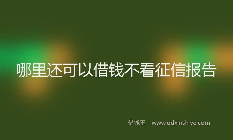 哪里还可以借钱不看征信报告