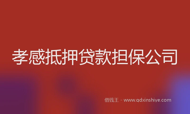 孝感抵押贷款担保公司