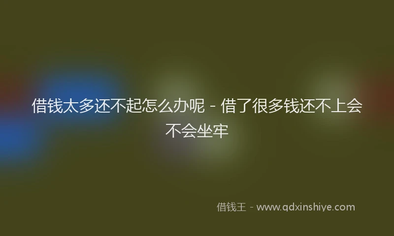 借钱太多还不起怎么办呢 - 借了很多钱还不上会不会坐牢