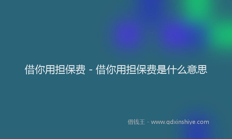 借你用担保费 - 借你用担保费是什么意思