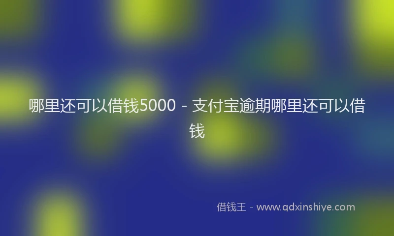 哪里还可以借钱5000 - 支付宝逾期哪里还可以借钱