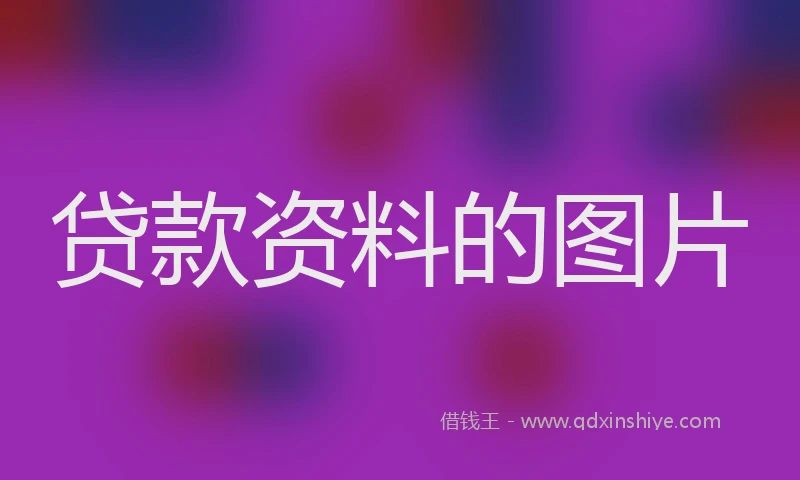 贷款资料的图片