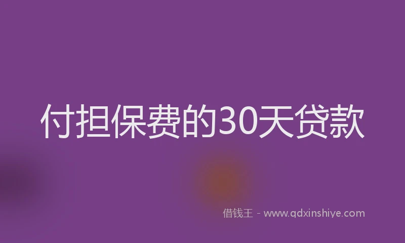 付担保费的30天贷款