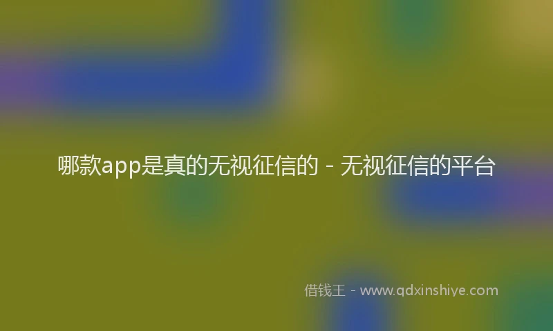 哪款app是真的无视征信的 - 无视征信的平台