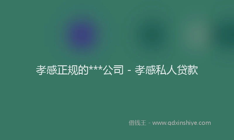 孝感正规的***公司 - 孝感私人贷款