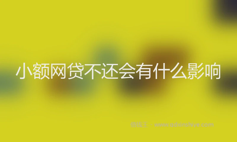 小额网贷不还会有什么影响