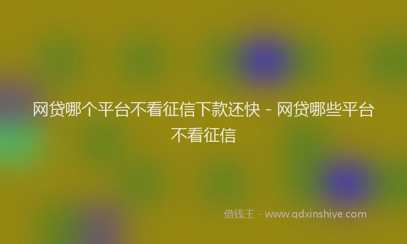 网贷哪个平台不看征信下款还快 - 网贷哪些平台不看征信