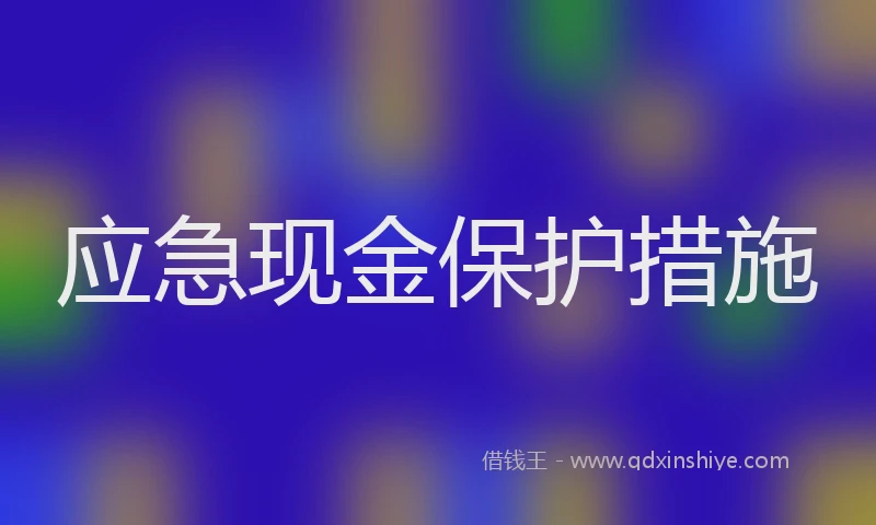 应急现金保护措施