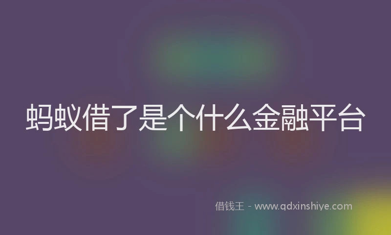 蚂蚁借了是个什么金融平台
