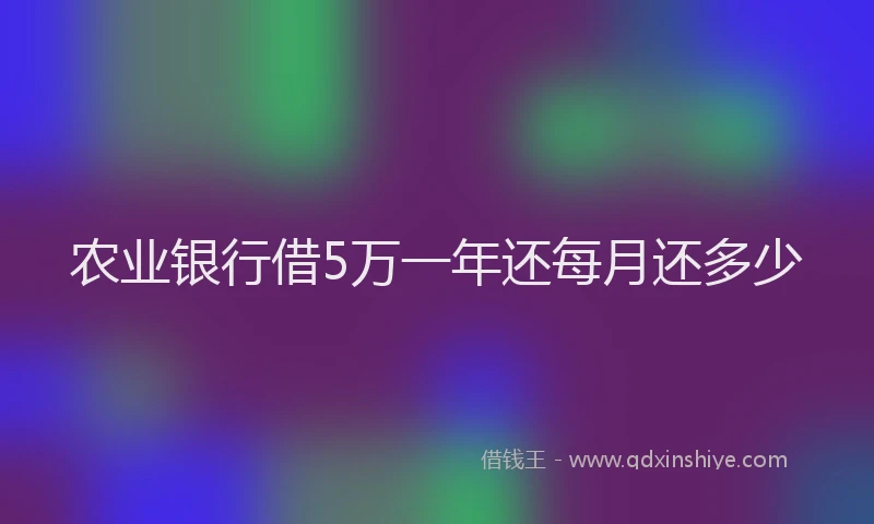 农业银行借5万一年还每月还多少